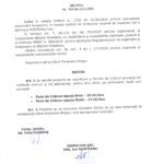 decizie-pomi-de-craciun
